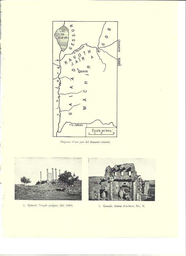 LAMINA 36410: Ruinas de Qanauat, Siria