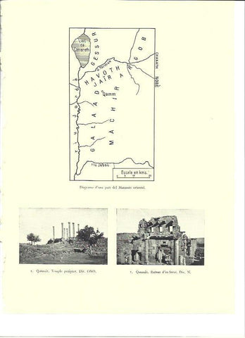LAMINA 36410: Ruinas de Qanauat, Siria