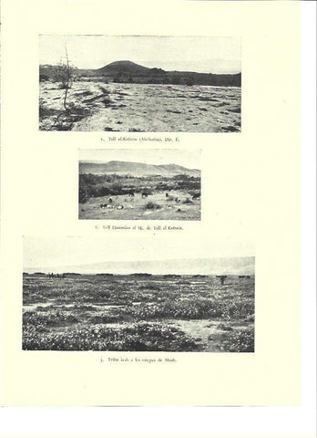 LAMINA 36405: Tribu arabe en Moab, Israel