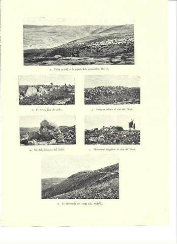 LAMINA 36399: Dolmenes en tierras de Israel