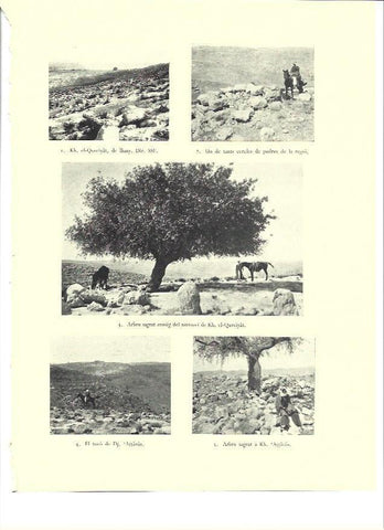 LAMINA 36395: Vistas de la region de El-Qureiyat, Israel