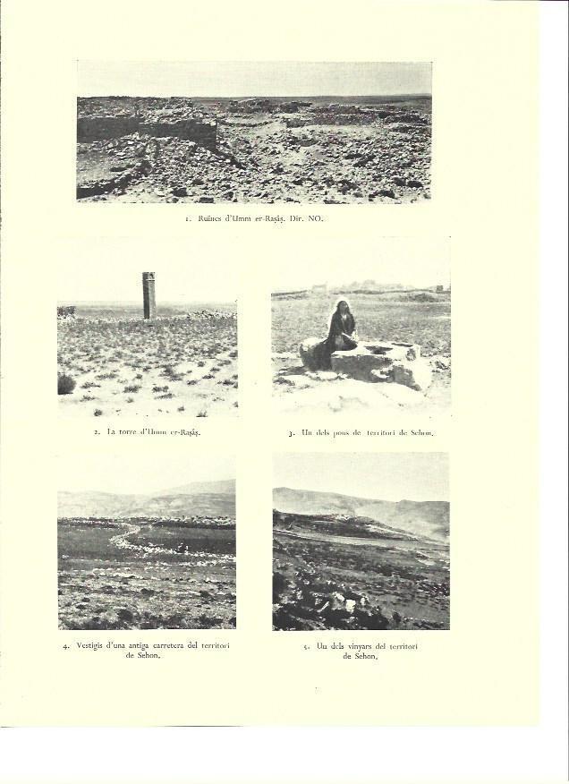 LAMINA 36382: Ruinas de Umm er-Rasas, Israel