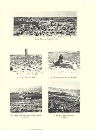 LAMINA 36382: Ruinas de Umm er-Rasas, Israel