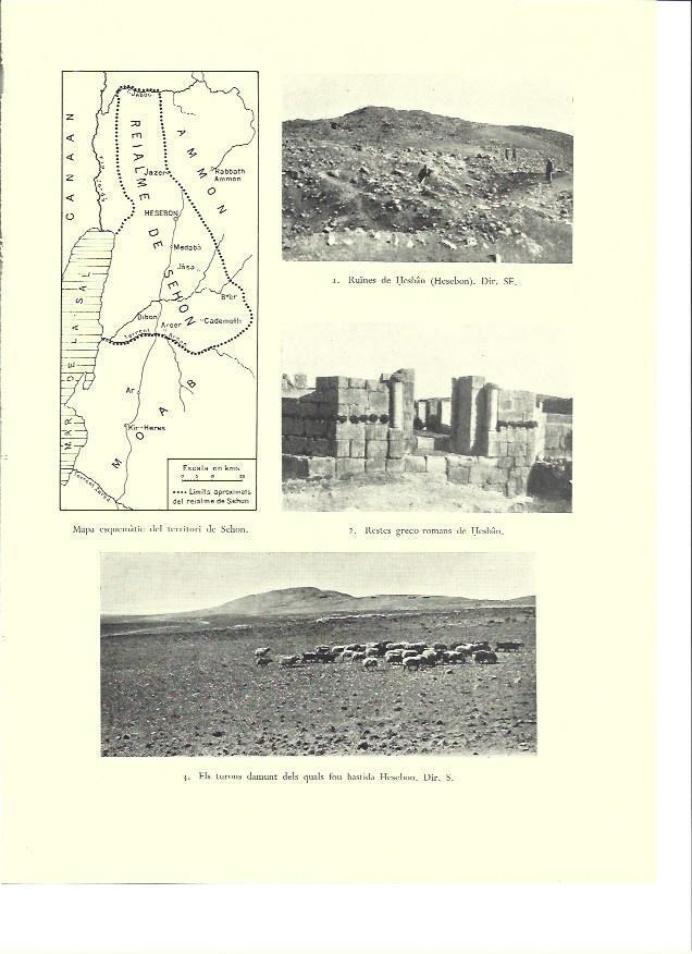LAMINA 36383: Mapa y ruinas de Sehon, Israel