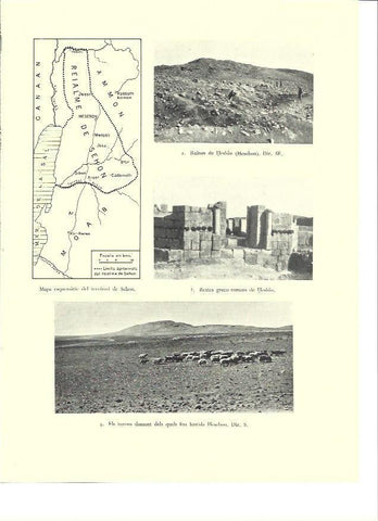 LAMINA 36383: Mapa y ruinas de Sehon, Israel