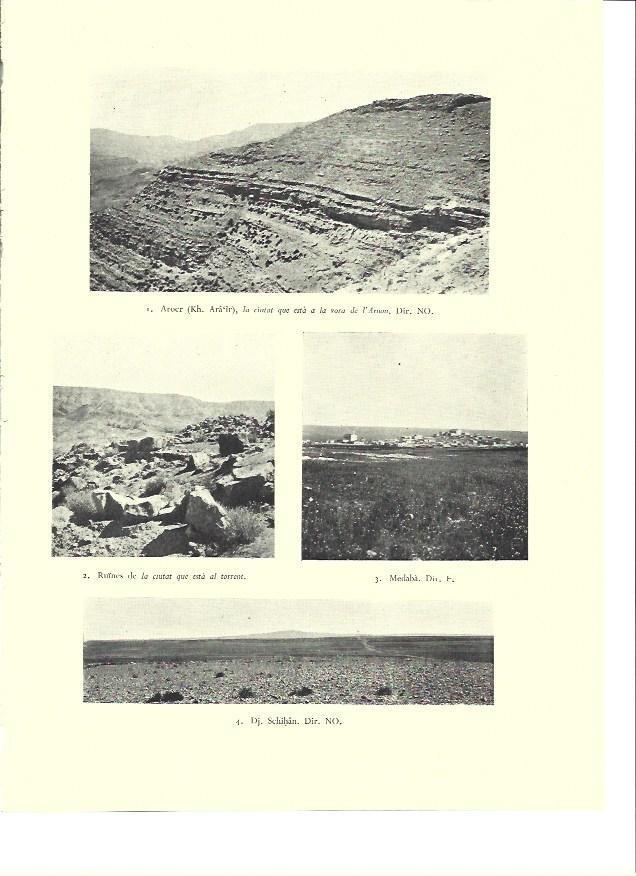 LAMINA 36384: Vistas de la region de Sehon, Israel
