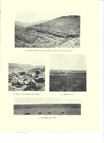 LAMINA 36384: Vistas de la region de Sehon, Israel