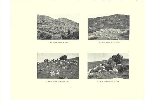 LAMINA 36386: Ruinas de la antigua ciudad de Jaser, Israel