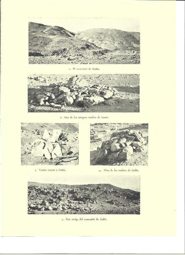 LAMINA 36346: Cementerio de Cades, Israel