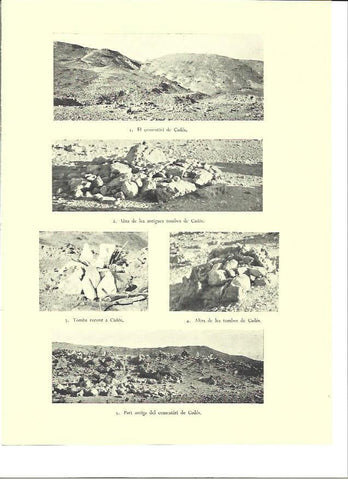 LAMINA 36346: Cementerio de Cades, Israel