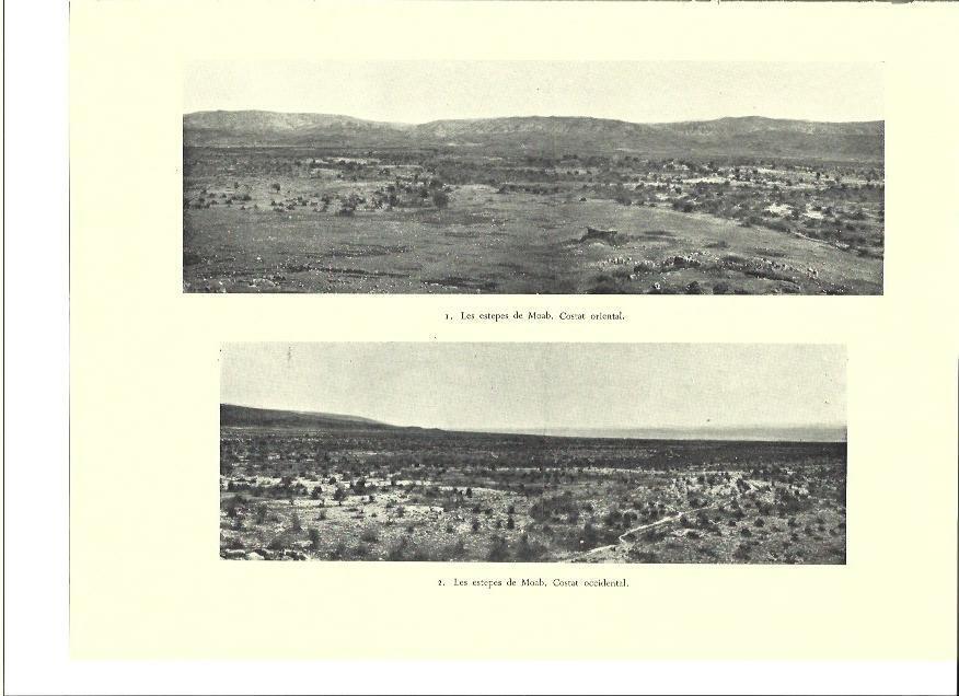 LAMINA 36389: Estepas de Moab, Israel