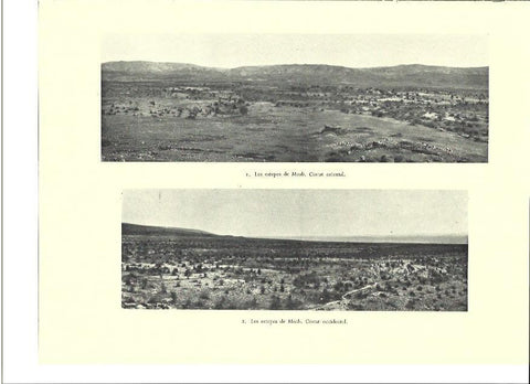 LAMINA 36389: Estepas de Moab, Israel