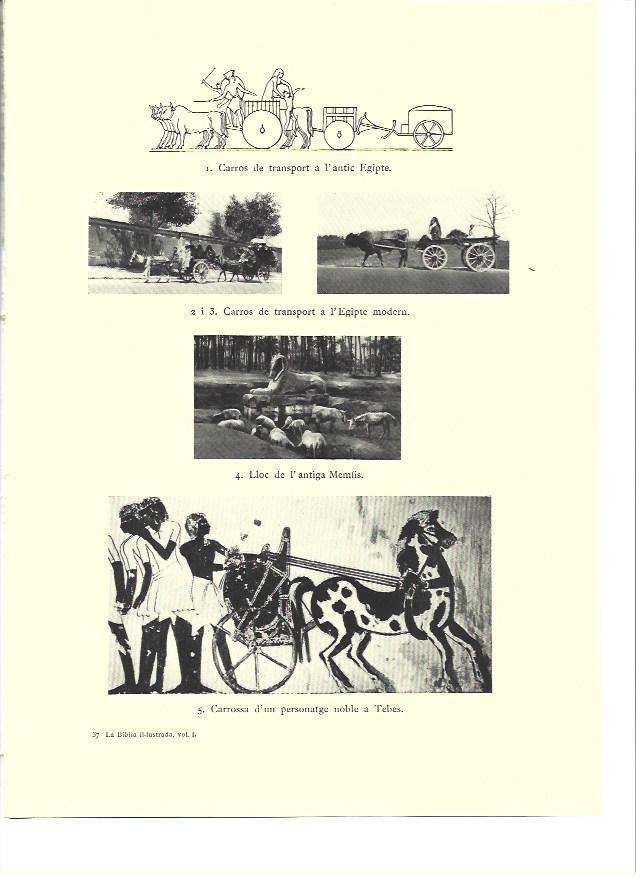 LAMINA 36303: Carros de transporte de Egipto