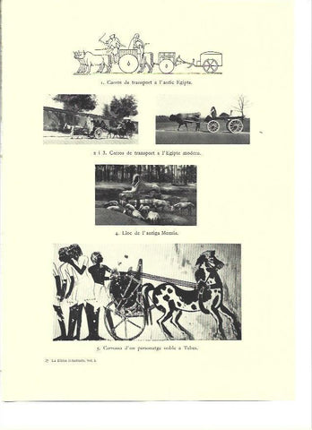LAMINA 36303: Carros de transporte de Egipto