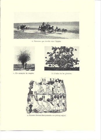 LAMINA 36302: Caravana hacia Egipto
