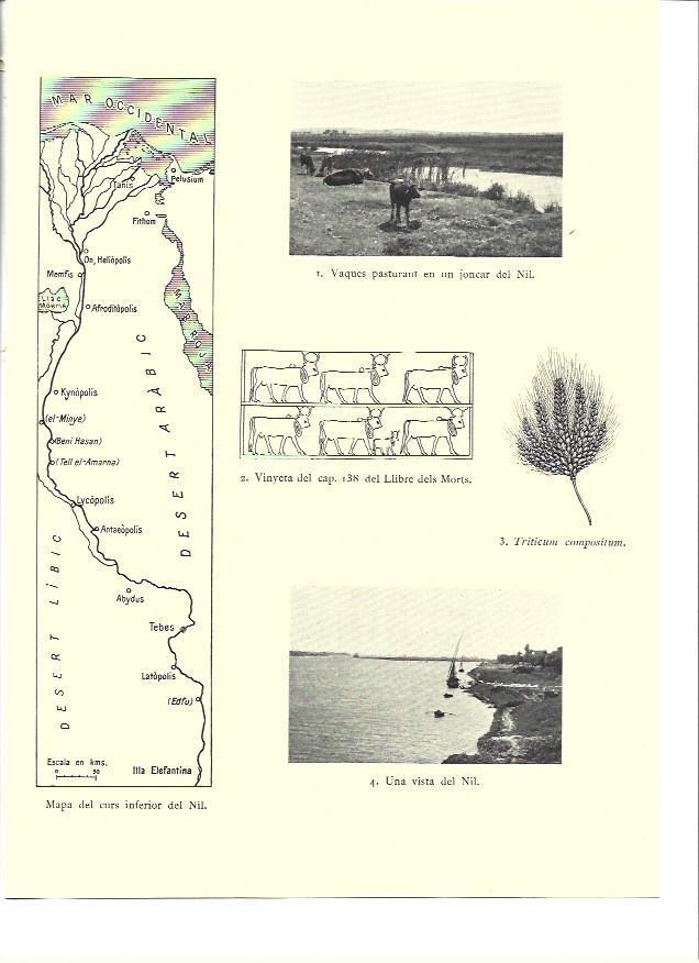 LAMINA 36296: Mapa del curso inferior del Nilo
