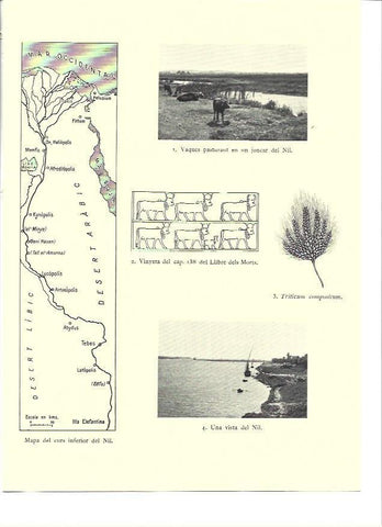 LAMINA 36296: Mapa del curso inferior del Nilo