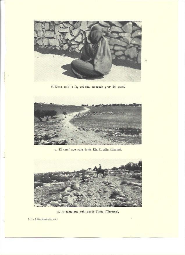 LAMINA 36291: Camino en Enaim, Israel