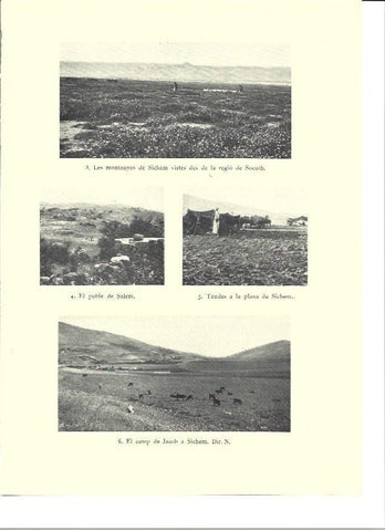 LAMINA 36281: Montañas de Sichem