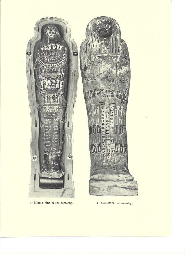 LAMINA 36308: Momia en su sarcofago