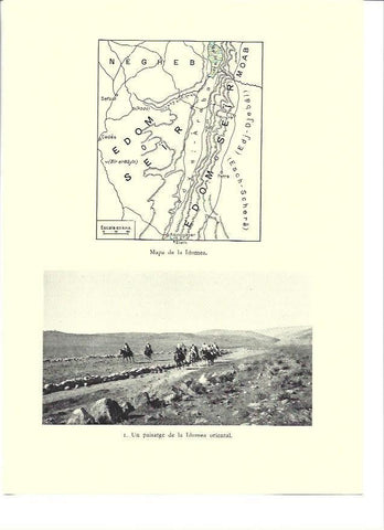 LAMINA 36285: Mapa de Idumea, Israel