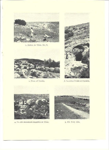 LAMINA 36290: Ruinas de Tibne 