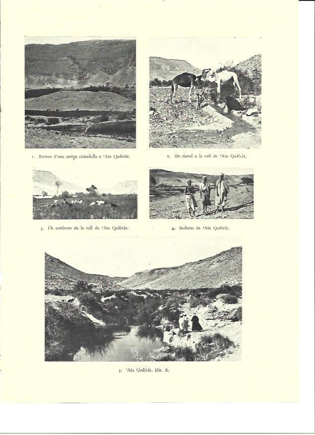 LAMINA 36342: Valle de Ain Qaderat, Israel
