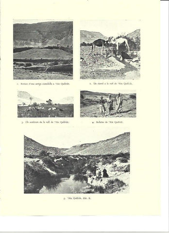 LAMINA 36342: Valle de Ain Qaderat, Israel