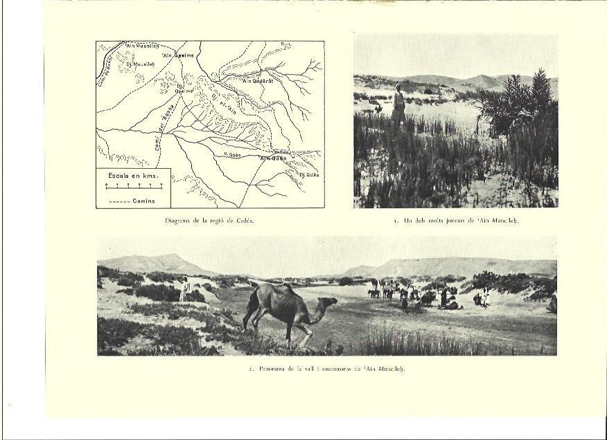 LAMINA 36340: Valle y mapa de la region de Cades, Israel