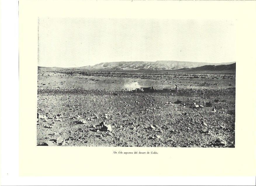 LAMINA 36339: Desierto de Cades, Israel