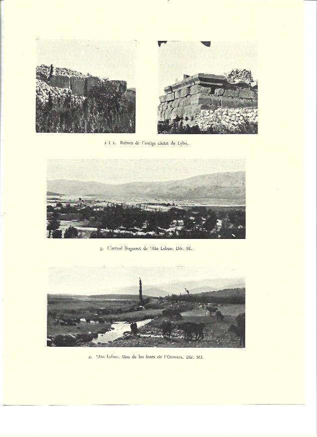 LAMINA 36334: Ruinas de Lybo, Israel