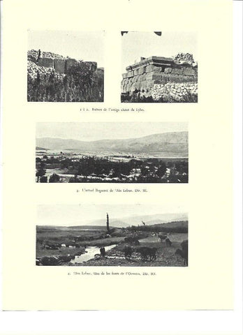 LAMINA 36334: Ruinas de Lybo, Israel