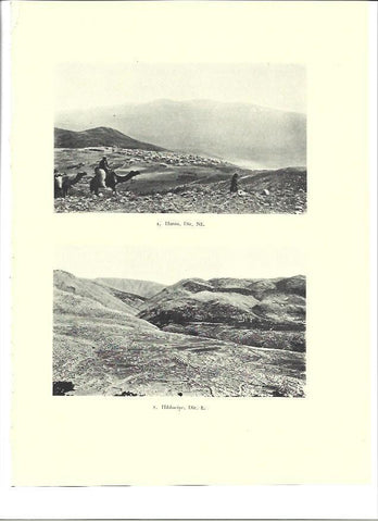 LAMINA 36332: Vistas de Hunin y Hibbariye, Israel