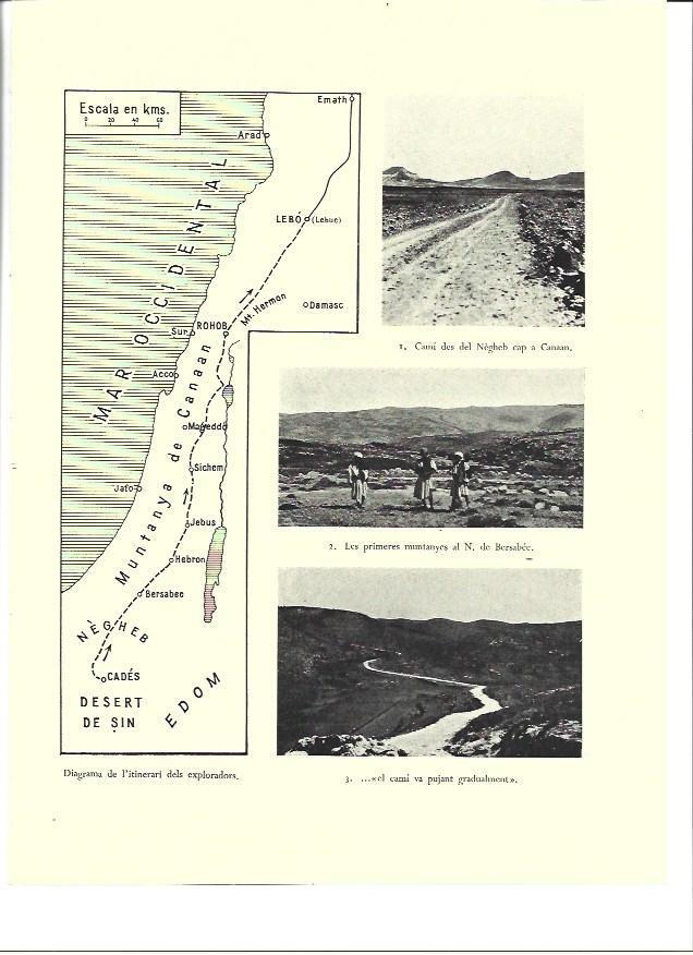 LAMINA 36331: Camino y montañas de Bersabee, Israel