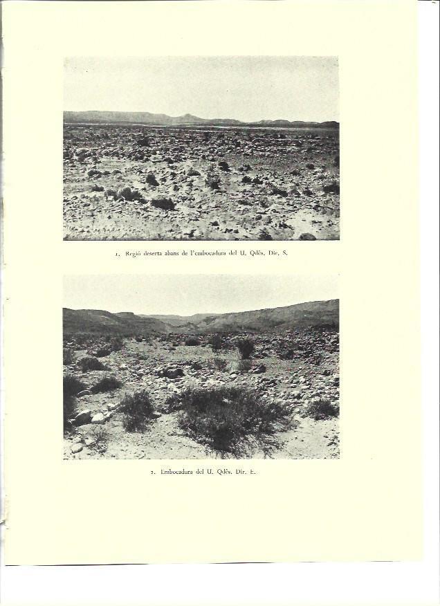 LAMINA 36327: Region desertica de Qadesh