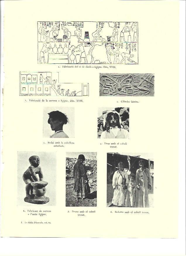 LAMINA 36313: Fabricacion de vino y cerveza en Egipto antiguo