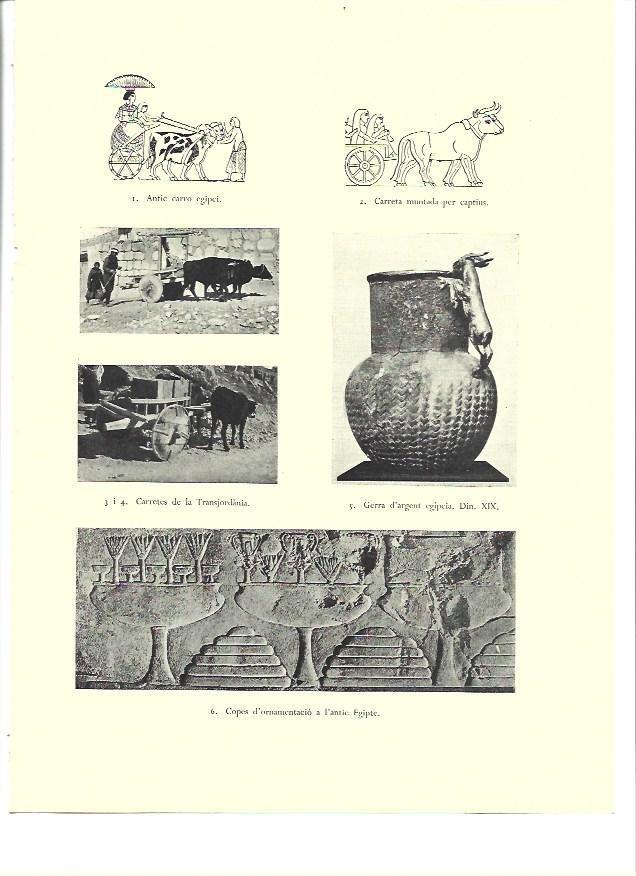 LAMINA 36314: Carretas en Transjordania