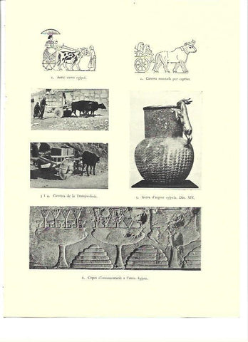 LAMINA 36314: Carretas en Transjordania