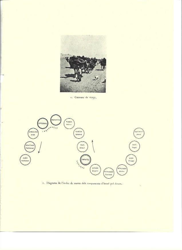 LAMINA 36316: Caravana de viaje en Israel