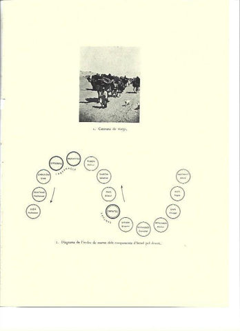 LAMINA 36316: Caravana de viaje en Israel