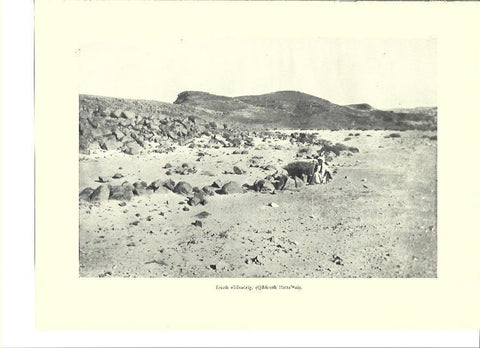 LAMINA 36318: Vista de Erueis el-Eueirig, Israel