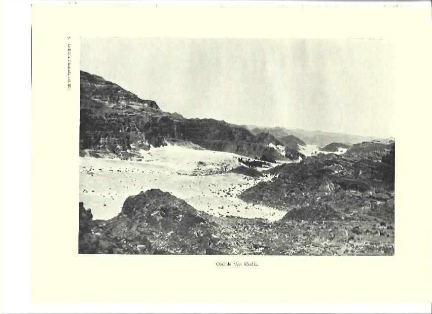 LAMINA 36321: Oasis de Ain Khadra