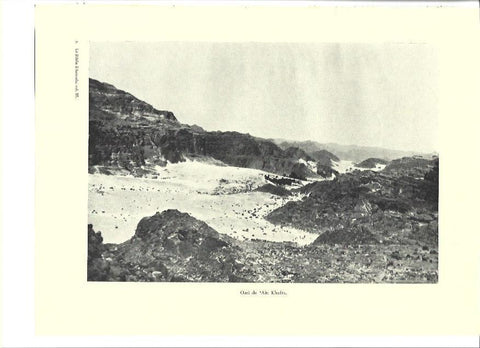 LAMINA 36321: Oasis de Ain Khadra