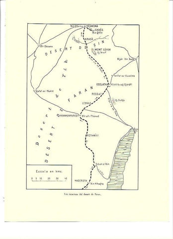 LAMINA 36322: Mapa del desierto de Faran, Israel