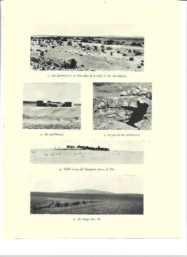LAMINA 36323: Vistas de la region de Bir eth-Themed