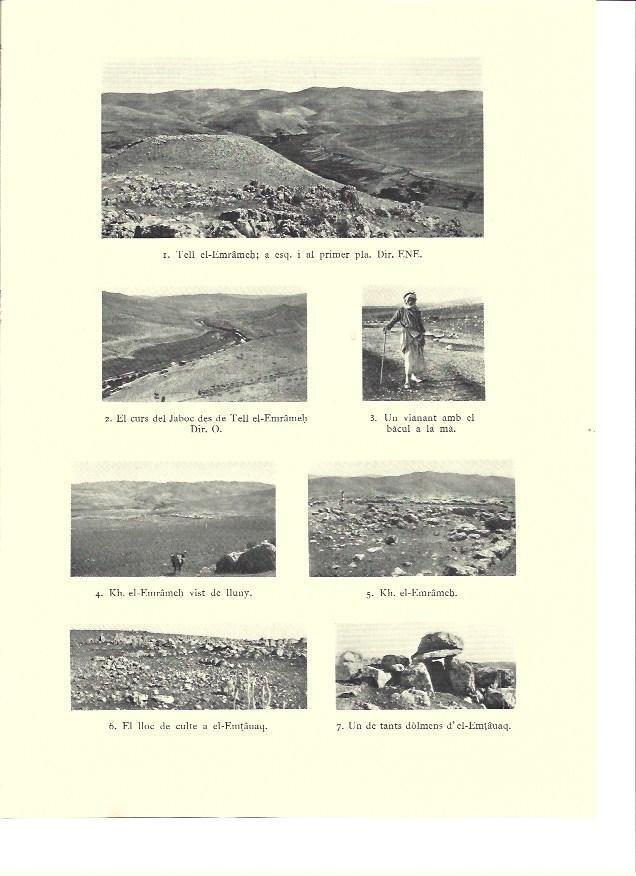 LAMINA 36276: Vistas de Tell el-Emrameh