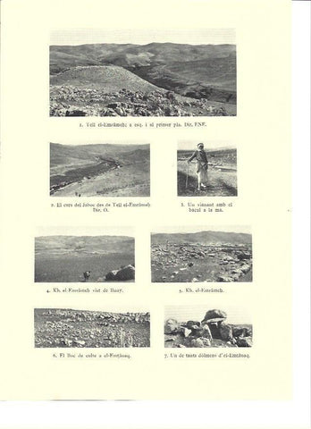 LAMINA 36276: Vistas de Tell el-Emrameh