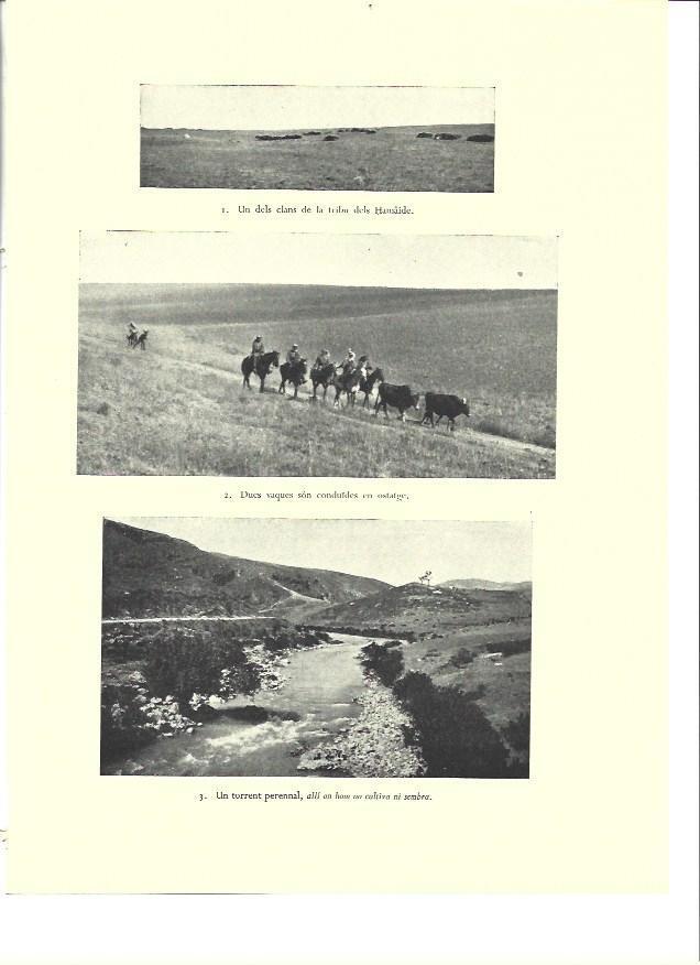 LAMINA 36446: Clan de la tribu de los Hamaide
