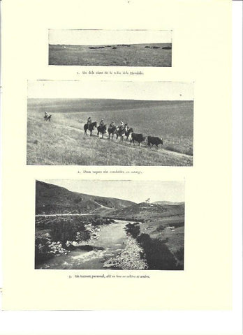 LAMINA 36446: Clan de la tribu de los Hamaide