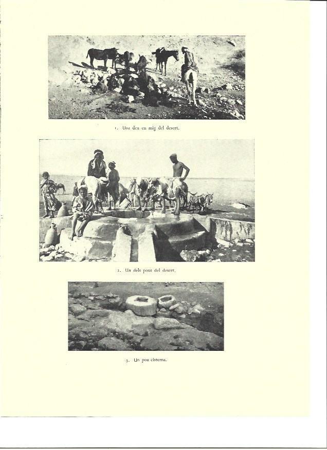 LAMINA 36432: Pozos y cisternas en el desierto de Palestina
